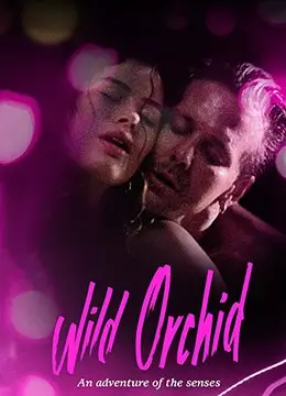 历史剧服化道内卷观察